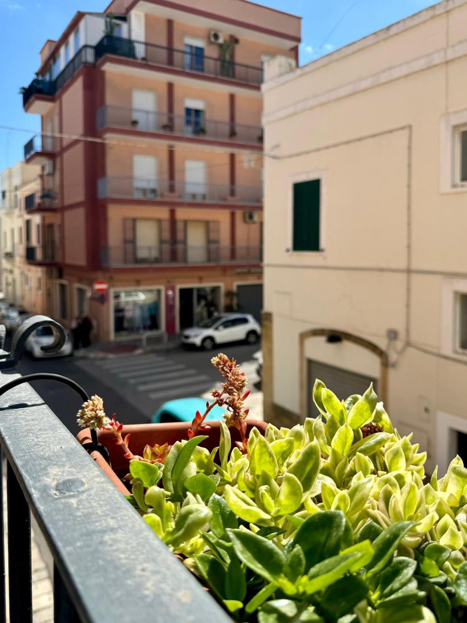 Casa Palestro Apartment Monopoli Ngoại thất bức ảnh