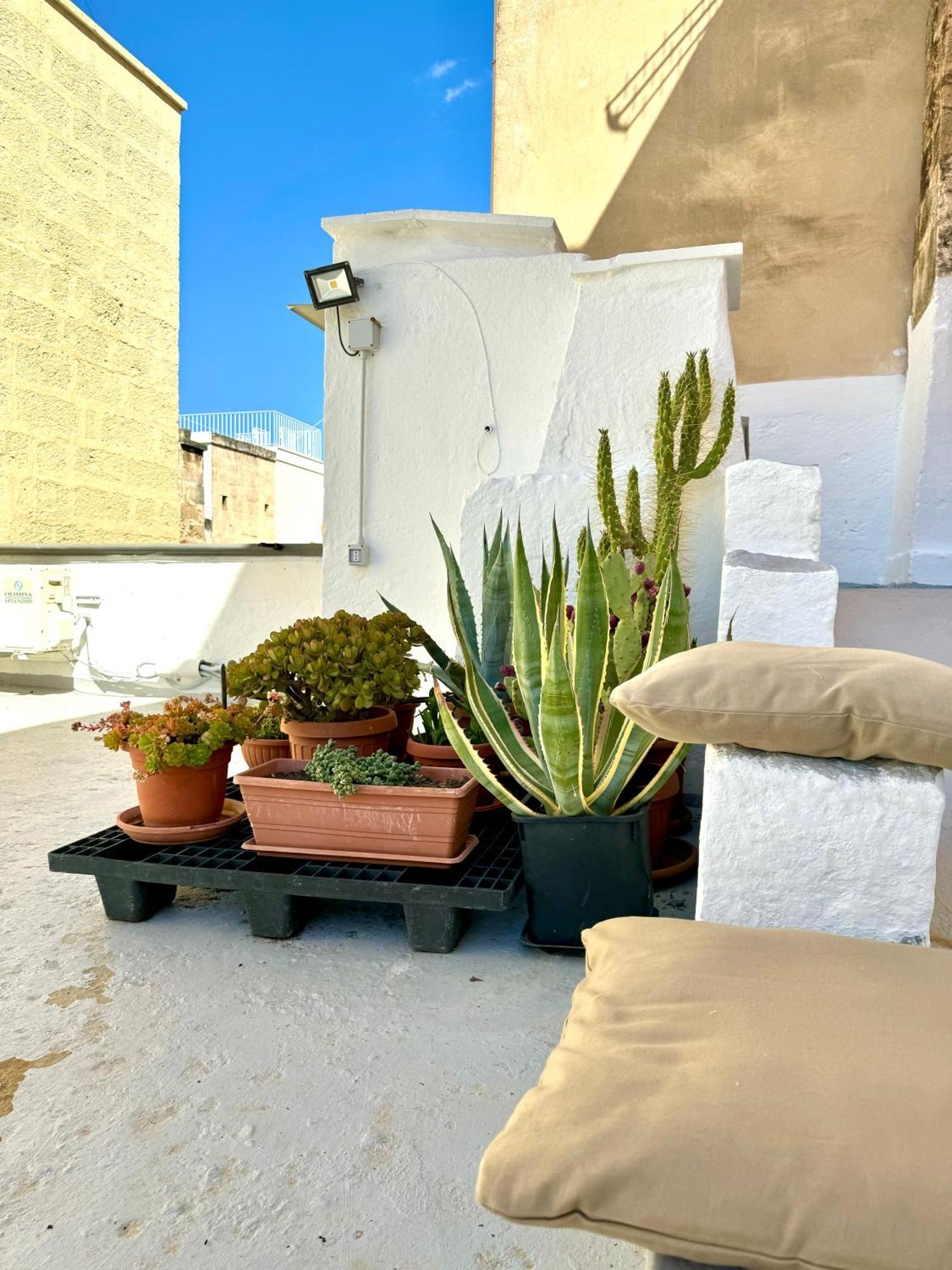 Casa Palestro Apartment Monopoli Ngoại thất bức ảnh
